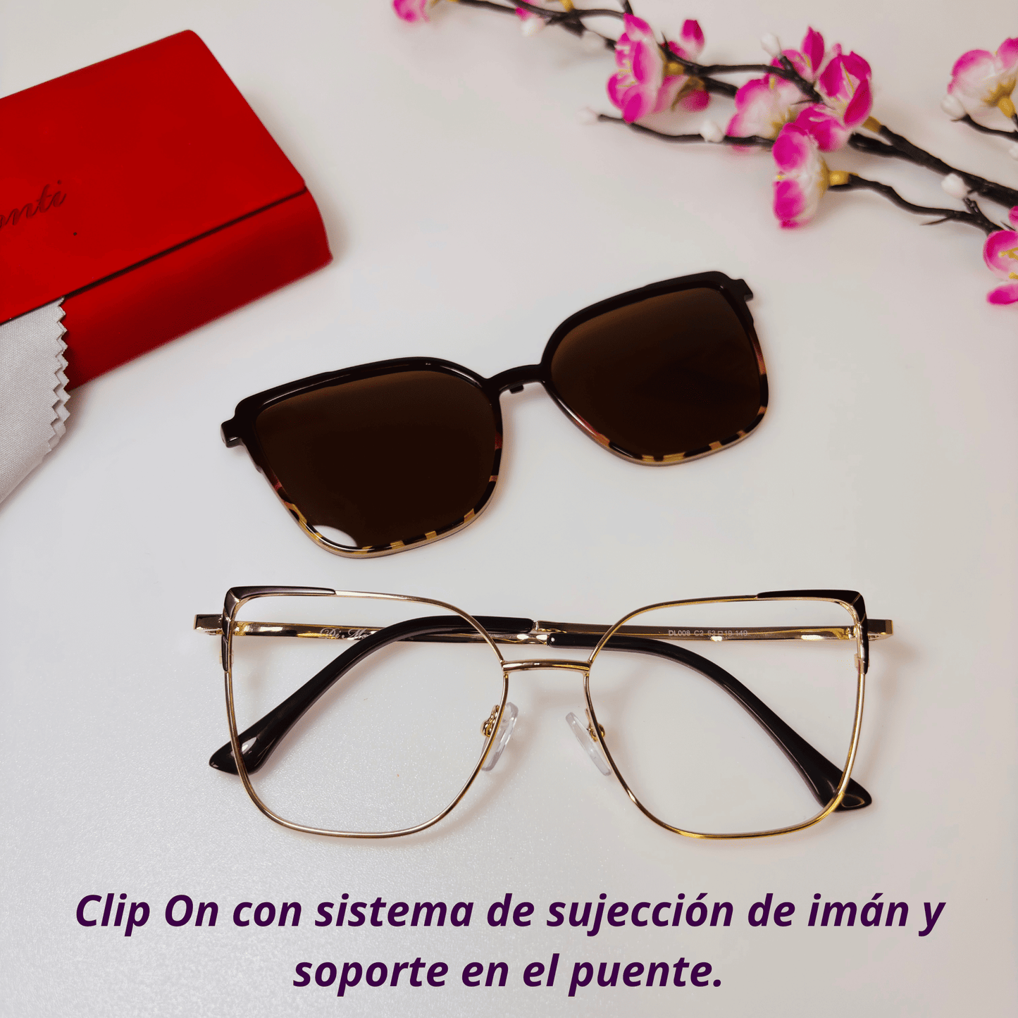Lentes Clip-On Modelo Alanis - MO 001