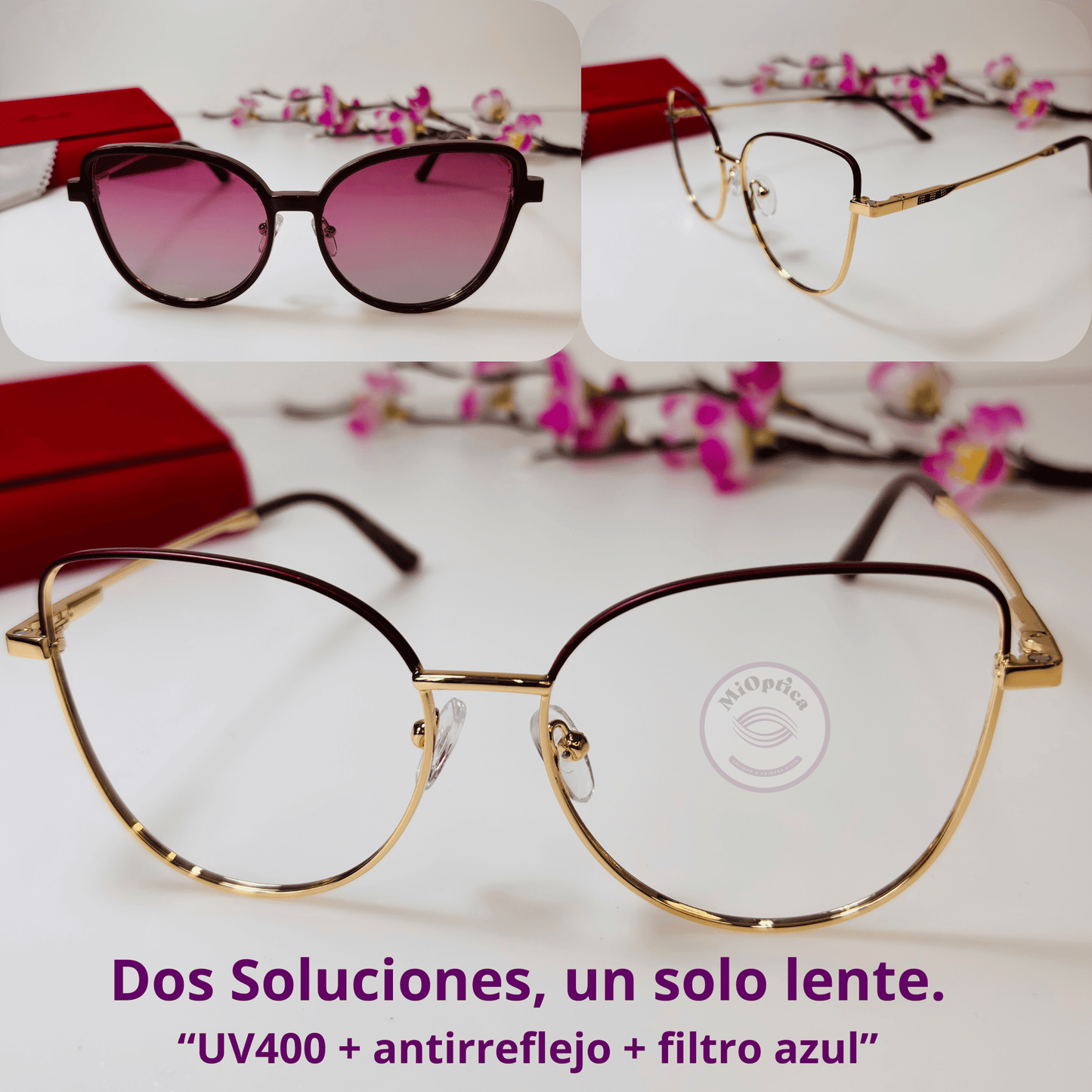 Armazón Eyes Cat Clip -On MO 002